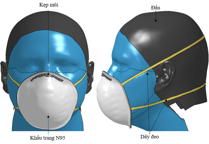 Mô hình tổng quan khẩu trang N95 và mặt