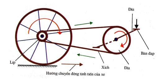 Hệ thống truyền động xe đạp